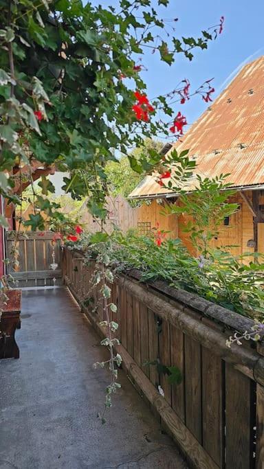 Le Banc Des Seilles Βίλα Bonvillard Εξωτερικό φωτογραφία